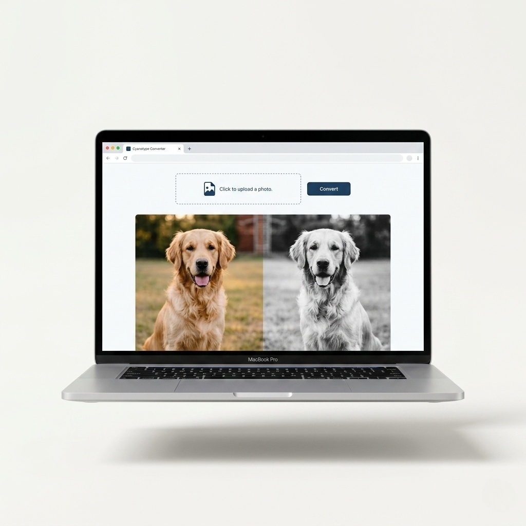 Bonus 1: The Free Photo Converter Tool